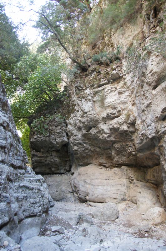 Viewing photos→2017→2017-10-29→09