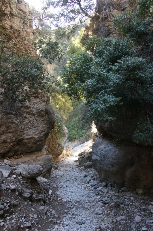 Viewing photos→2017→2017-10-29→11