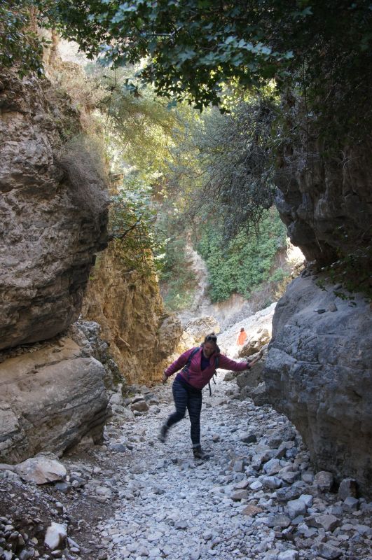 Viewing photos→2017→2017-10-29→13