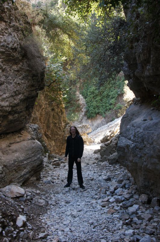 Viewing photos→2017→2017-10-29→16