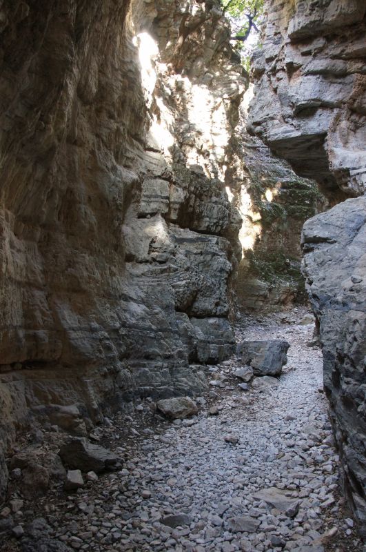 Viewing photos→2017→2017-10-29→19