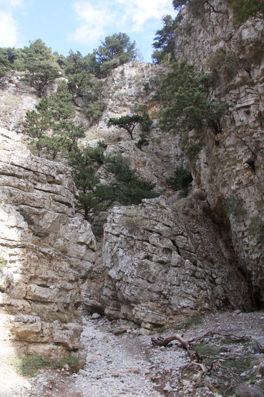 Viewing photos→2017→2017-10-29→25