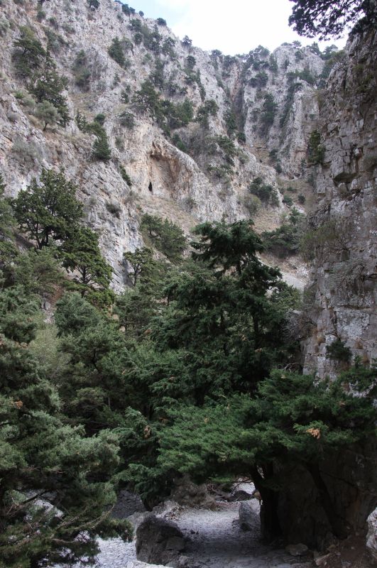 Viewing photos→2017→2017-10-29→26