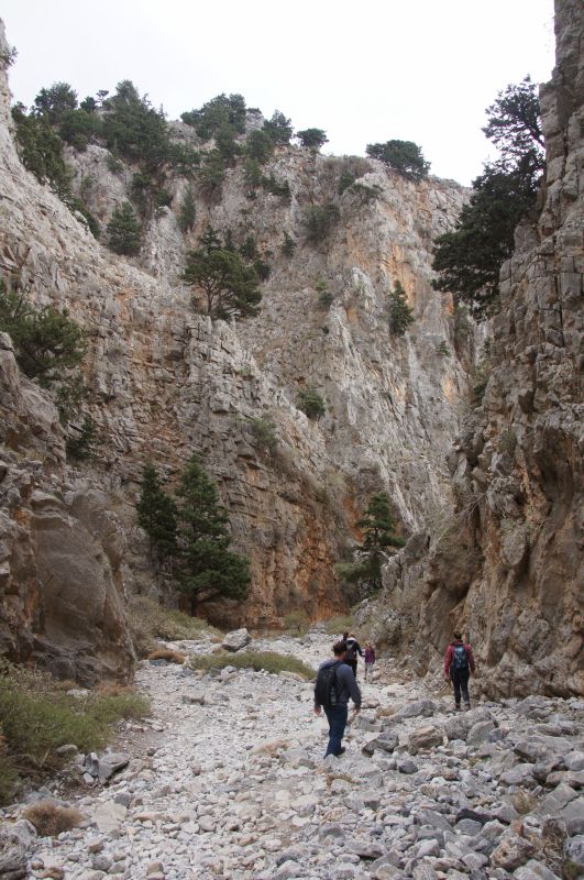 Viewing photos→2017→2017-10-29→32