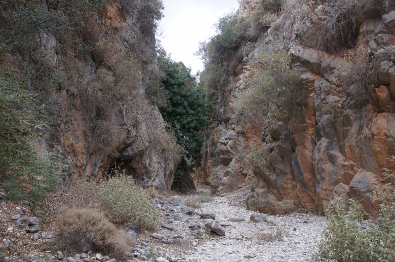 Viewing photos→2017→2017-10-29→36