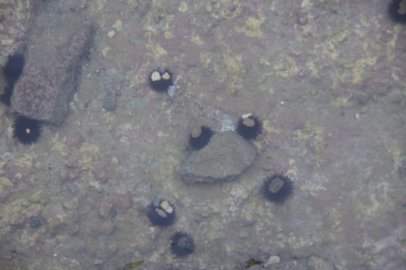 Viewing photos→2017→2017-10-30→36