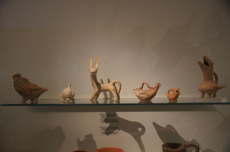 Viewing photos→2017→2017-10-31→05