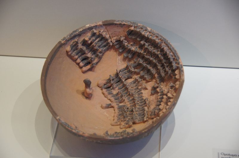 Viewing photos→2017→2017-10-31→07