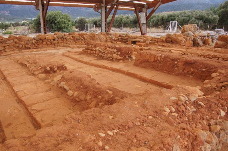 Viewing photos→2017→2017-11-01→08