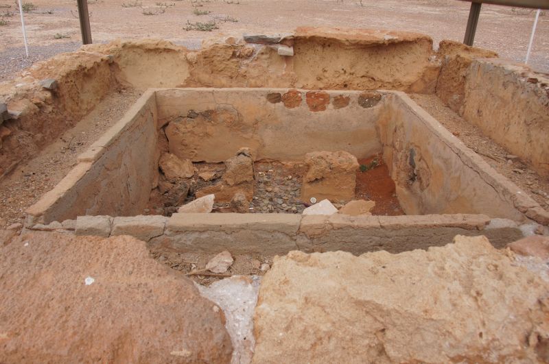 Viewing photos→2017→2017-11-01→09