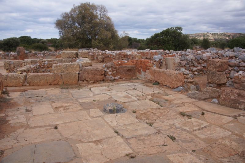 Viewing photos→2017→2017-11-01→15