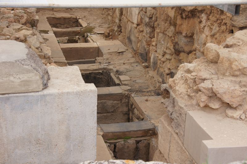 Viewing photos→2017→2017-11-02→14