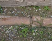 38.jpeg - 2017:11:02 11:03:45