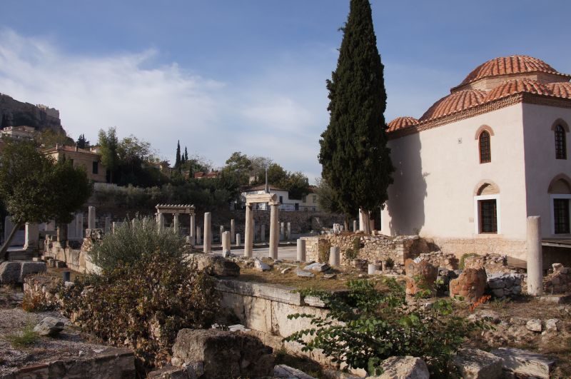 Viewing photos→2017→2017-11-03→012