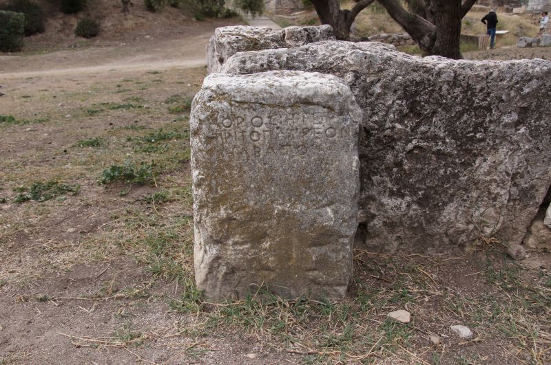 Viewing photos→2017→2017-11-03→113