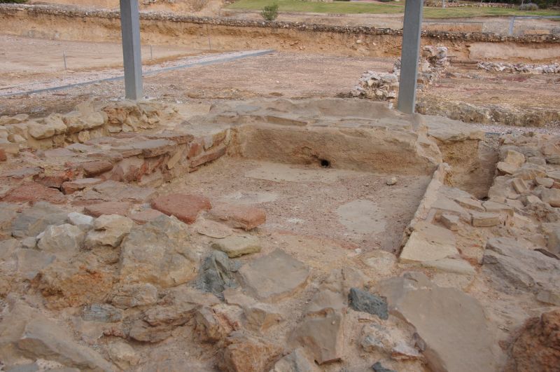 Viewing photos→2017→2017-11-03→141