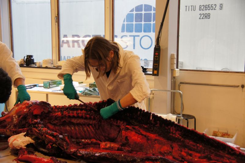 Viewing photos→2017→2017-11-17→07