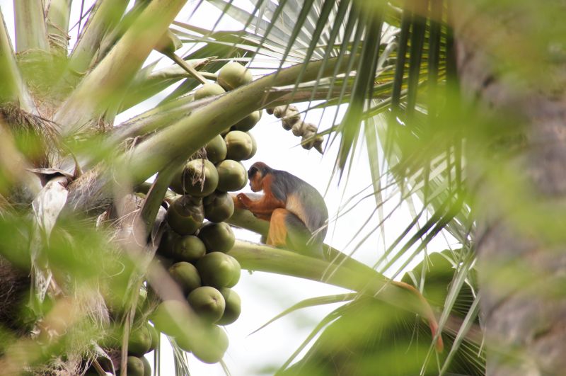 Viewing photos→2017→2017-11-25→023