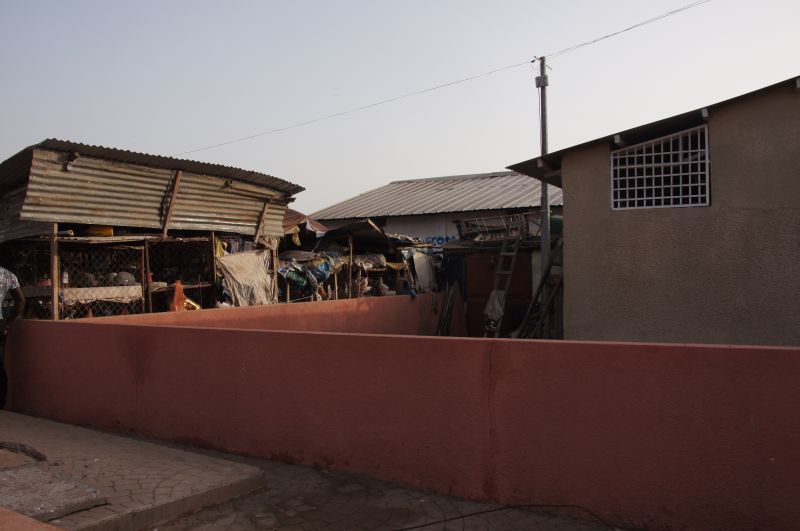 Viewing photos→2017→2017-11-25→041