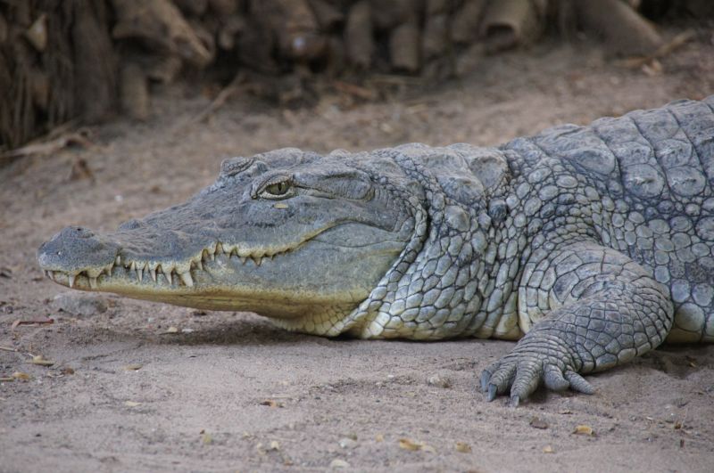 Viewing photos→2017→2017-11-25→047