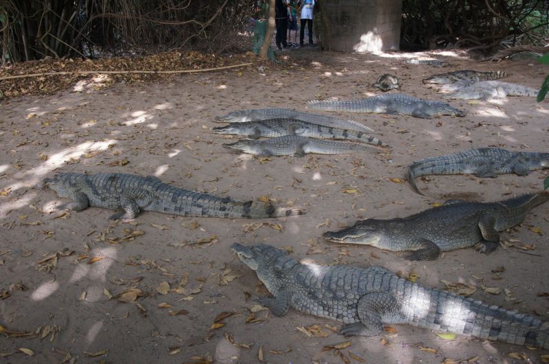 Viewing photos→2017→2017-11-25→056