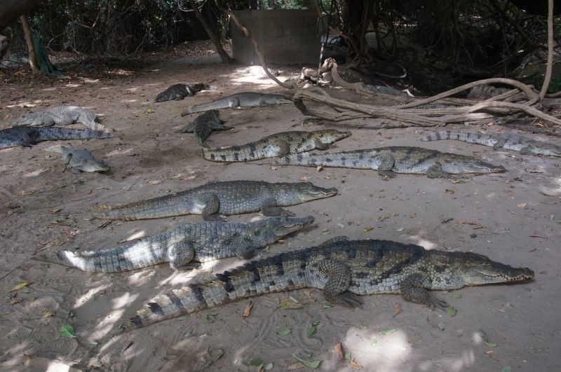 Viewing photos→2017→2017-11-25→066