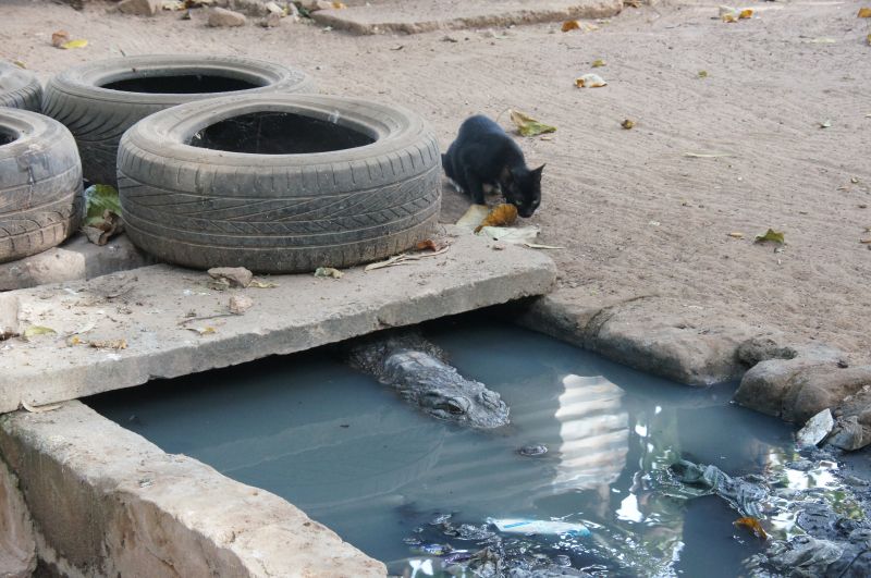 Viewing photos→2017→2017-11-25→067