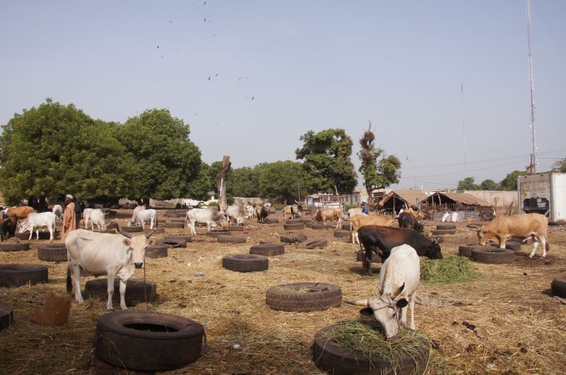 Viewing photos→2017→2017-11-25→068