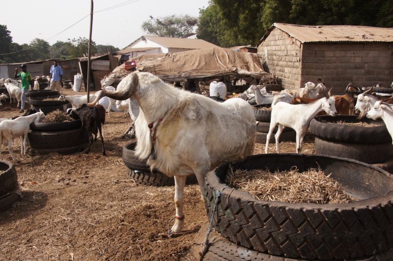 Viewing photos→2017→2017-11-25→073