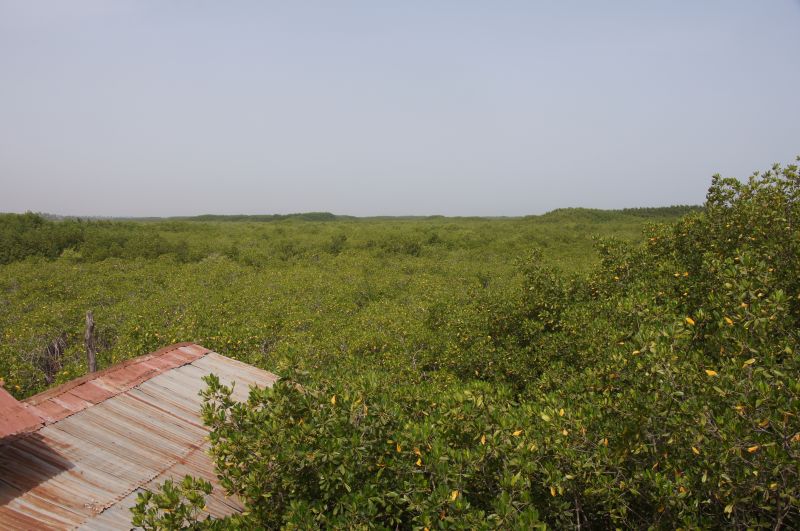 Viewing photos→2017→2017-11-25→082