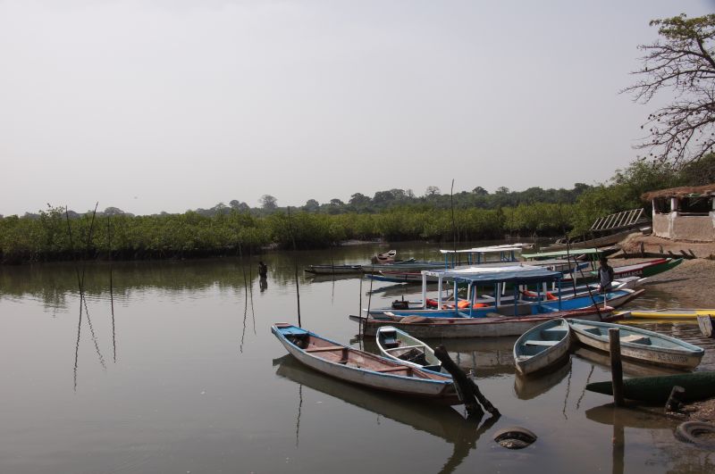 Viewing photos→2017→2017-11-25→089