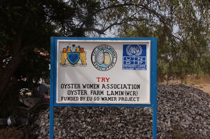 Viewing photos→2017→2017-11-25→091