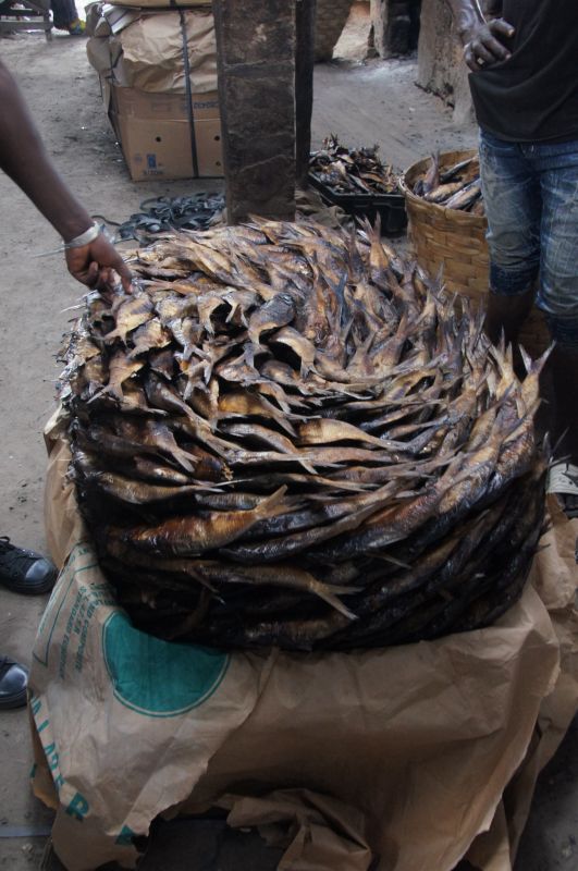 Viewing photos→2017→2017-11-25→110