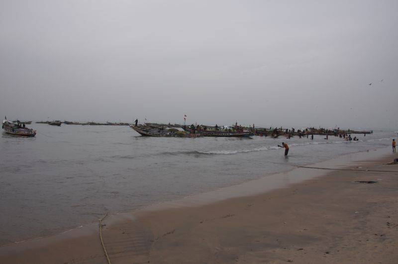 Viewing photos→2017→2017-11-25→118