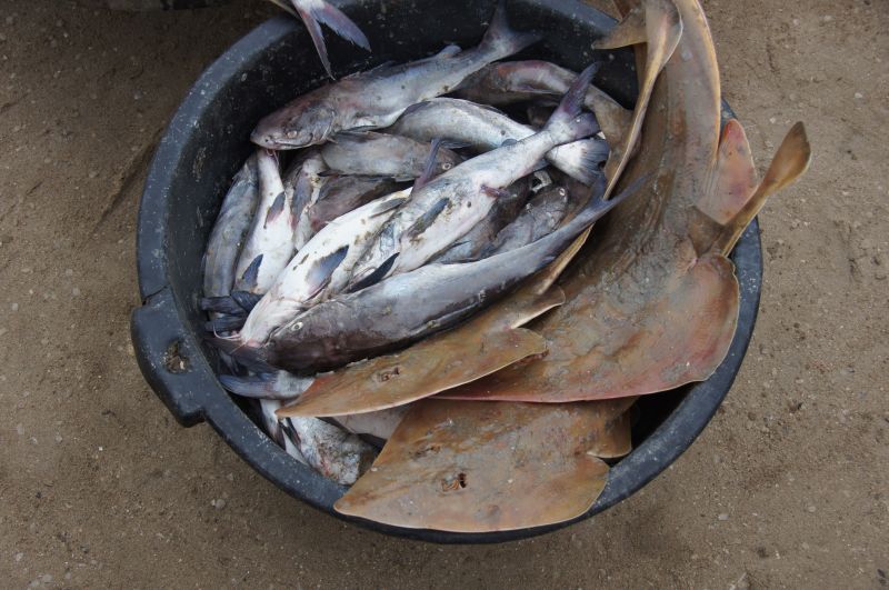 Viewing photos→2017→2017-11-25→121