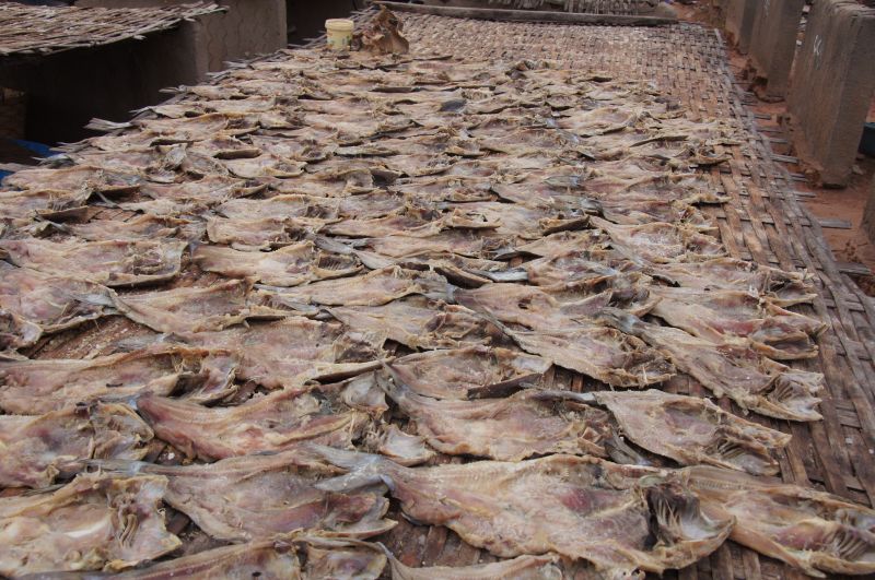 Viewing photos→2017→2017-11-25→123