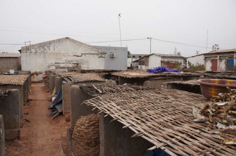 Viewing photos→2017→2017-11-25→125