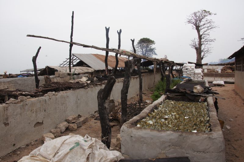 Viewing photos→2017→2017-11-25→126