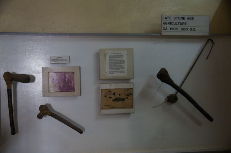 Viewing photos→2017→2017-11-25→135