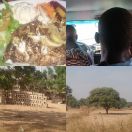 2017-11-30<br/>
<b>Travelling across Senegal</b>
