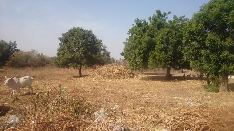 Viewing photos→2017→2017-11-30→05