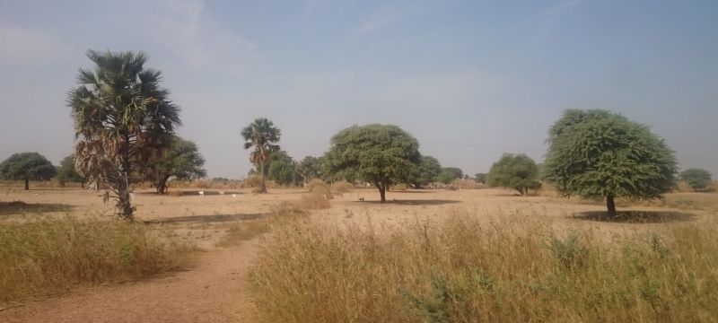 Viewing photos→2017→2017-11-30→10