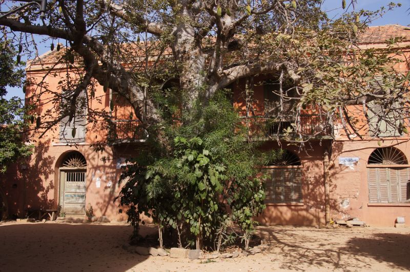 Viewing photos→2017→2017-12-01→024