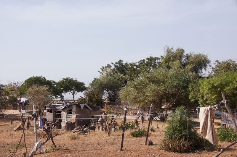 Viewing photos→2017→2017-12-01→032