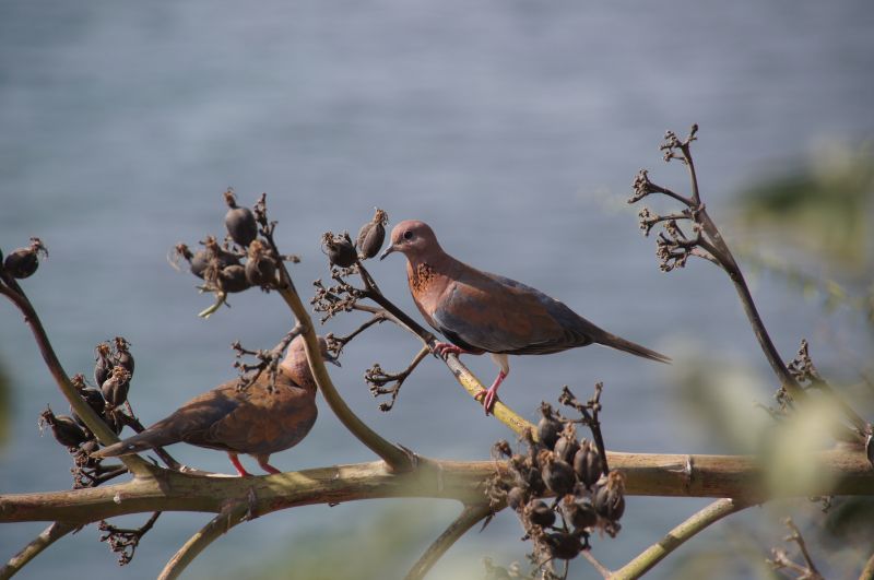 Viewing photos→2017→2017-12-01→036