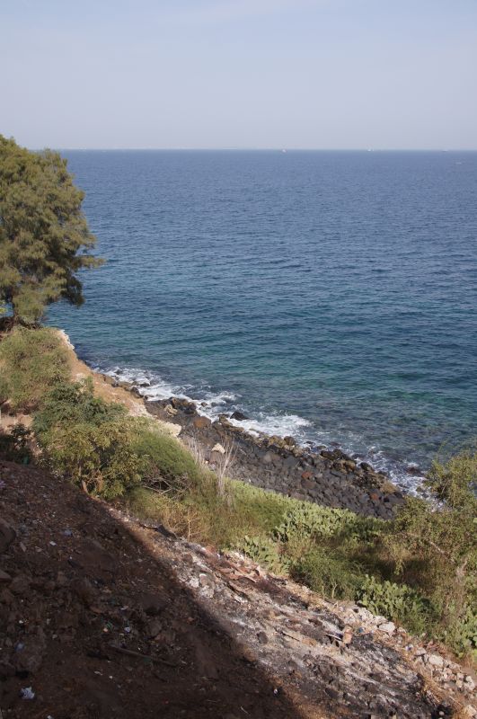 Viewing photos→2017→2017-12-01→038