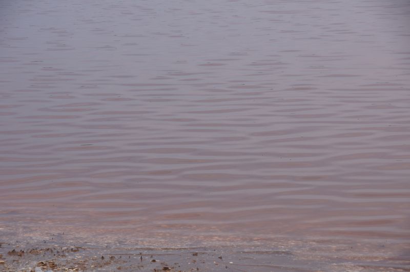 Viewing photos→2017→2017-12-01→063