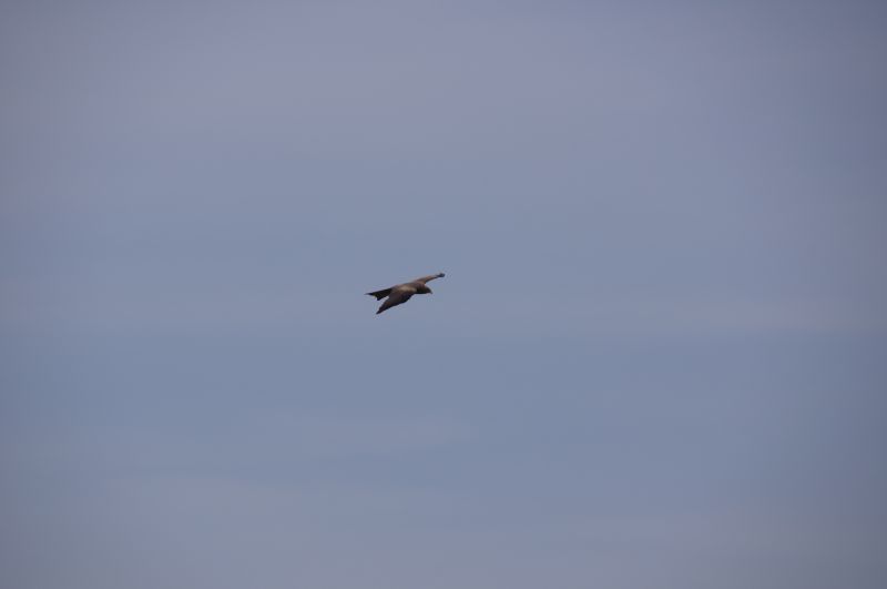 Viewing photos→2017→2017-12-01→067