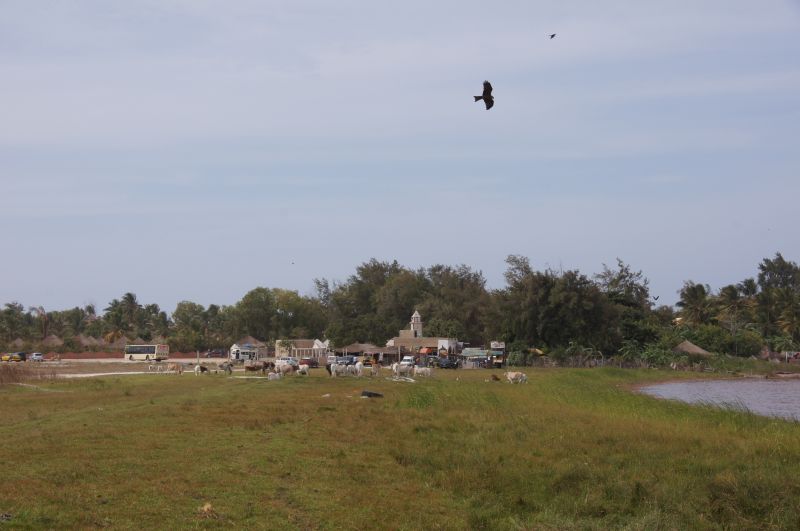 Viewing photos→2017→2017-12-01→068