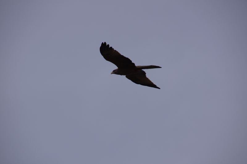 Viewing photos→2017→2017-12-01→073